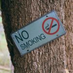 a no smoking signage on a tree