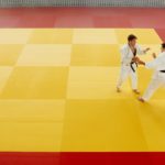 martial artists practicing aikido